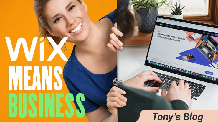 Why Wix eCommerce Design Is Perfect For Small Businesses