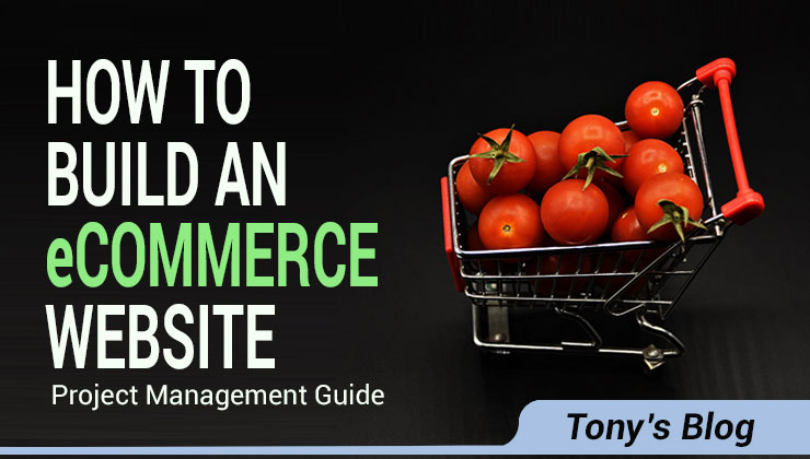 eCommerce Project Management: Complete Build Guide